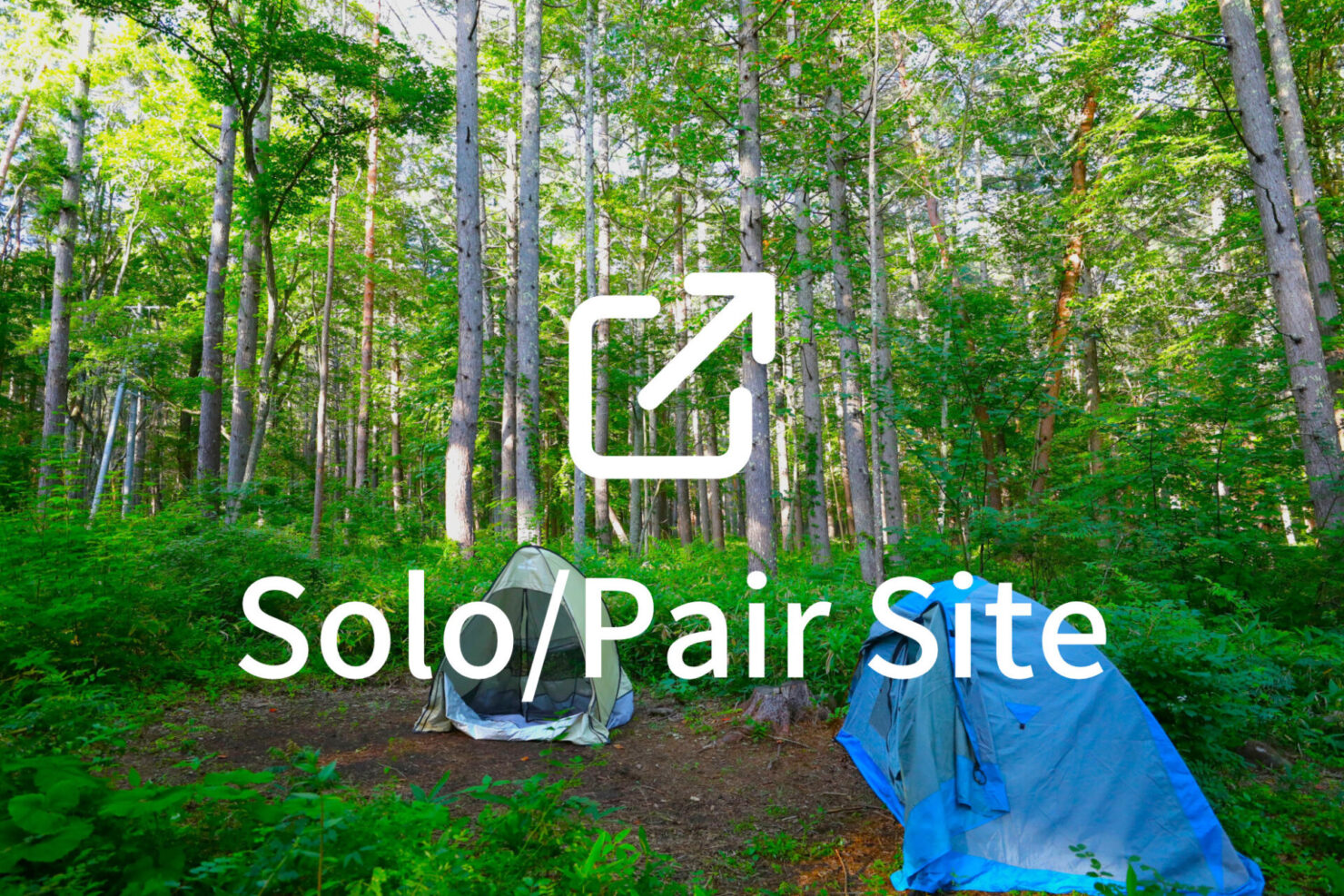 ソロ ペアサイトへのリンク_FUMONキャンプ場(長野県 諏訪 原村 八ヶ岳の麓)